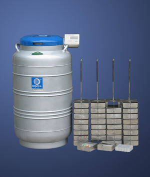 ���Ǵ�ھ�Һ������